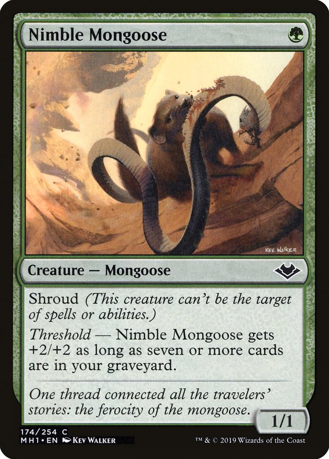 Nimble Mongoose [Modern Horizons] | Good Games Morley