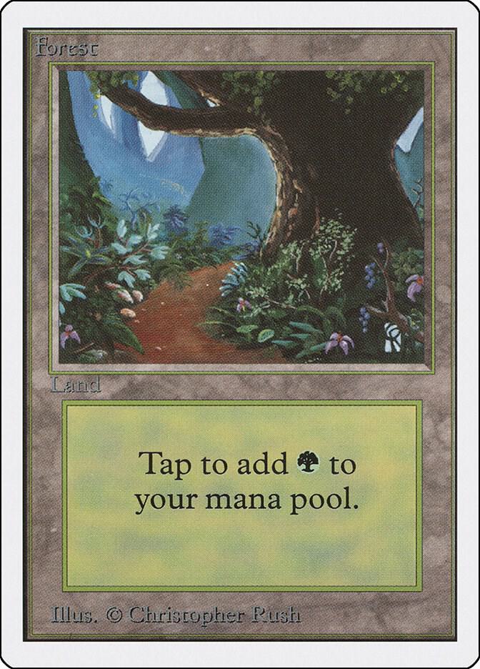 Forest B 301/302 (Unlimited Edition)  | Good Games Morley