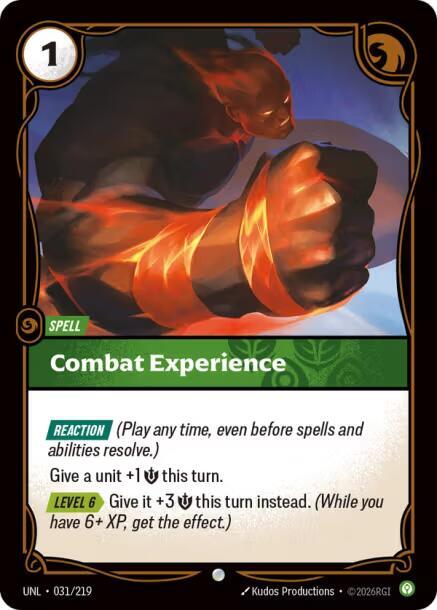Combat Experience 031/219 (Unleashed)  - Foil | Good Games Morley