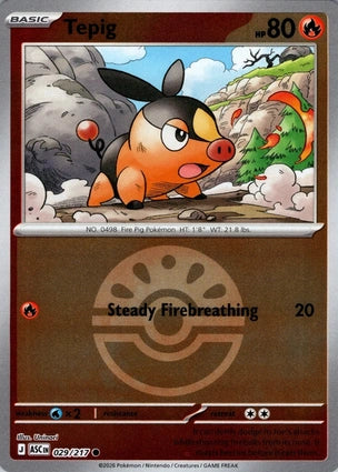 Tepig 029/217 (ME: Ascended Heroes)  - Friend Ball Holofoil | Good Games Morley