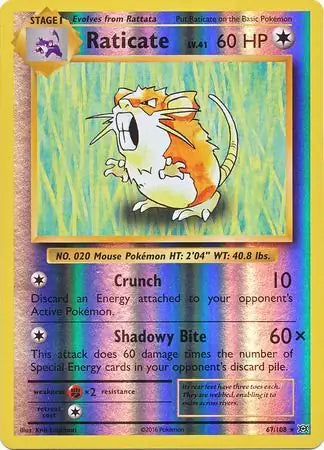 Raticate 67/108 (XY - Evolutions)  - Reverse Holofoil | Good Games Morley