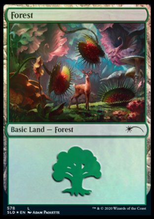 Forest (Predatory) (578) [Secret Lair Drop Promos] | Good Games Morley