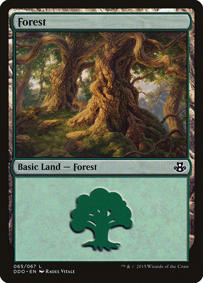 Forest (65) [Duel Decks: Elspeth vs. Kiora] | Good Games Morley