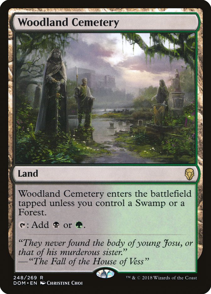 Woodland Cemetery 248/269 (Dominaria)  | Good Games Morley