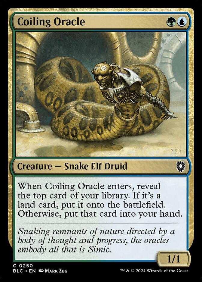 Coiling Oracle 250 (Commander: Bloomburrow)  | Good Games Morley