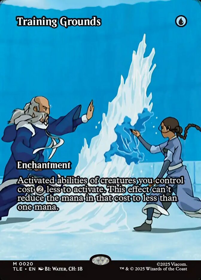 Training Grounds 20/317 (Avatar: The Last Airbender: Eternal-Legal)  - Borderless Foil | Good Games Morley