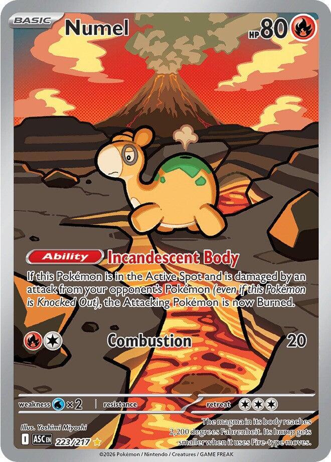 Numel 223/217 (ME: Ascended Heroes)  - Holofoil | Good Games Morley