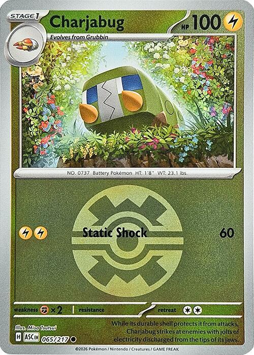 Charjabug 065/217 (ME: Ascended Heroes)  - Quick Ball Holofoil | Good Games Morley