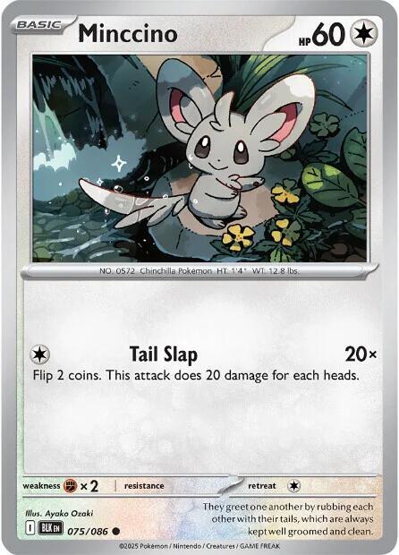 Minccino 075/086 (SV: Black Bolt)  | Good Games Morley