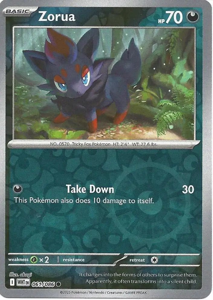 Zorua 061/086 (SV: White Flare)  - Reverse Holofoil | Good Games Morley