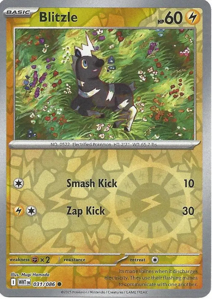 Blitzle 031/086 (SV: White Flare)  - Reverse Holofoil | Good Games Morley