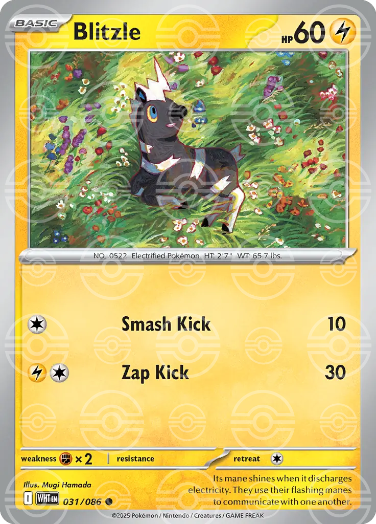 Blitzle 031/086 (SV: White Flare)  - Poke Ball Holofoil | Good Games Morley