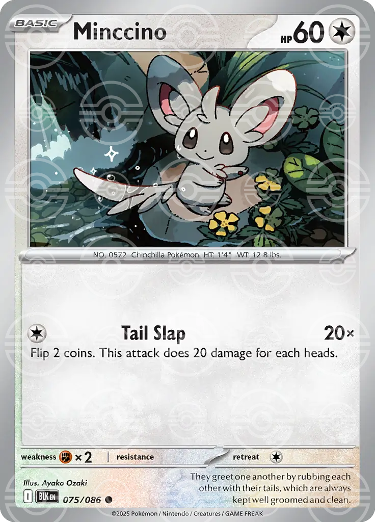 Minccino 075/086 (SV: Black Bolt)  - Poke Ball Holofoil | Good Games Morley