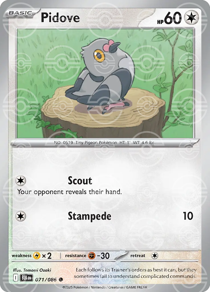 Pidove 071/086 (SV: Black Bolt)  - Poke Ball Holofoil | Good Games Morley