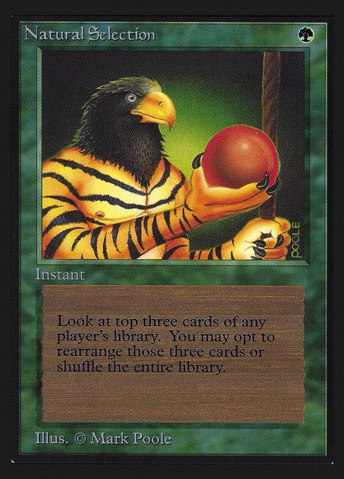 Natural Selection [International Collectors' Edition] | Good Games Morley