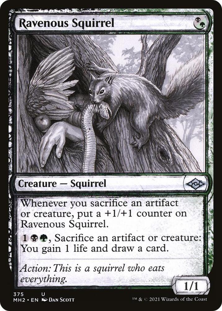 Ravenous Squirrel Showcase 375 (Modern Horizons 2)  - Foil | Good Games Morley