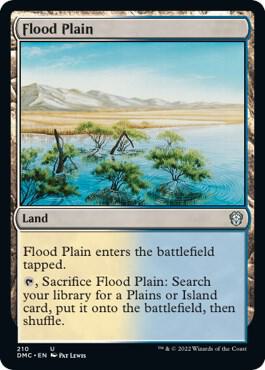 Flood Plain 210/50 (Commander: Dominaria United)  | Good Games Morley