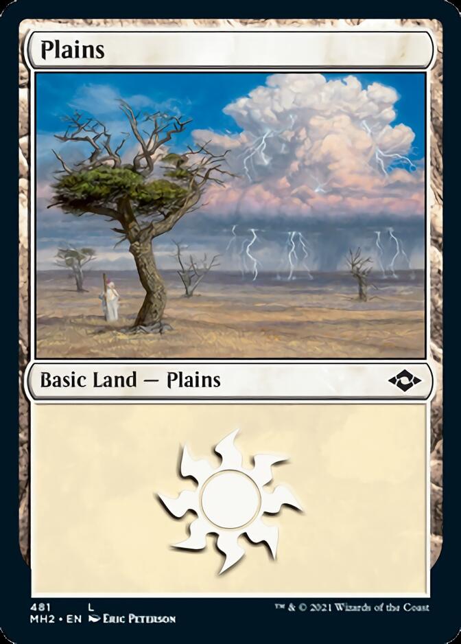 Plains (481) (Foil Etched) [Modern Horizons 2] | Good Games Morley