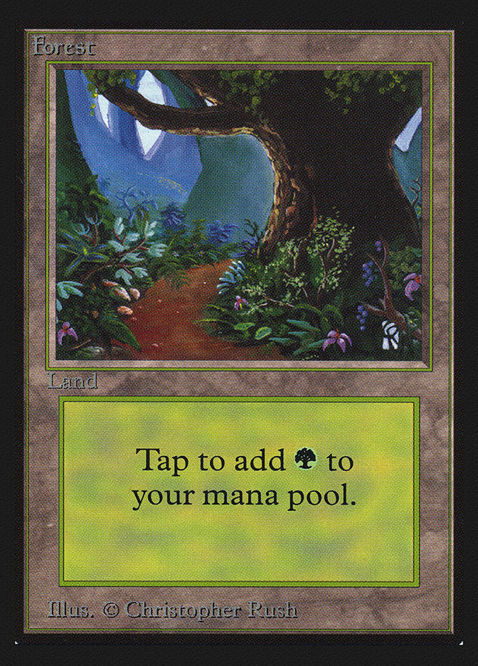 Forest (Flower Path) [Collectors' Edition] | Good Games Morley