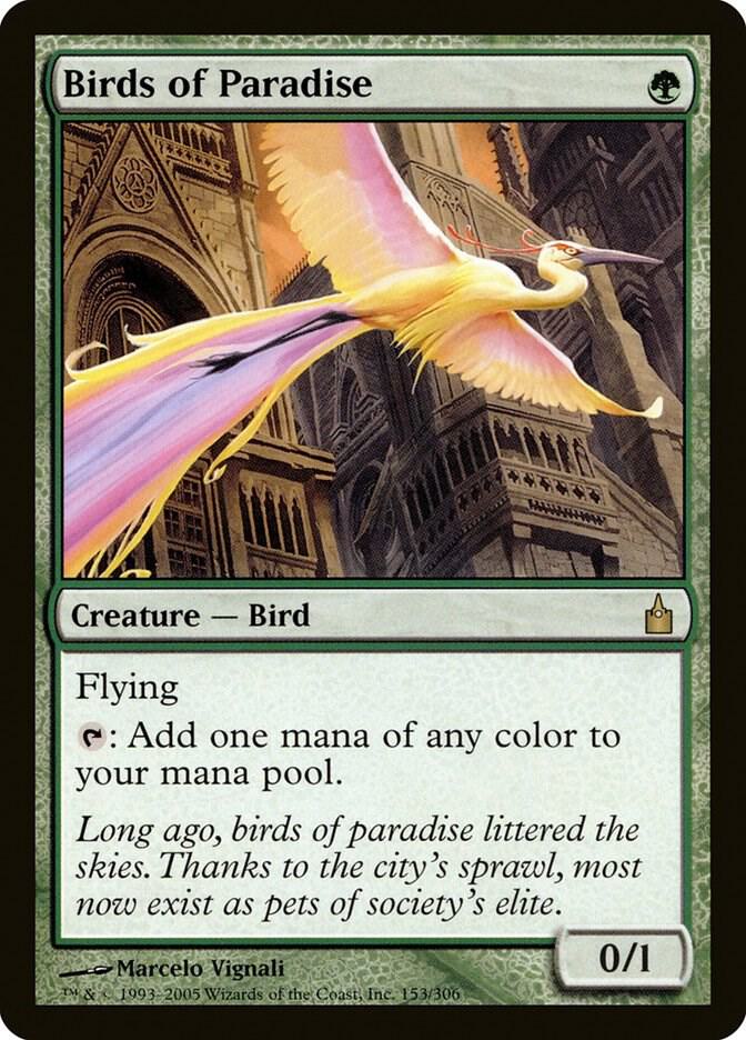 Birds of Paradise 153 (Ravnica: City of Guilds)  | Good Games Morley