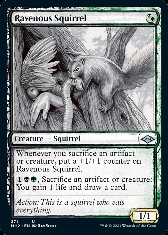 Ravenous Squirrel (Sketch) [Modern Horizons 2] | Good Games Morley