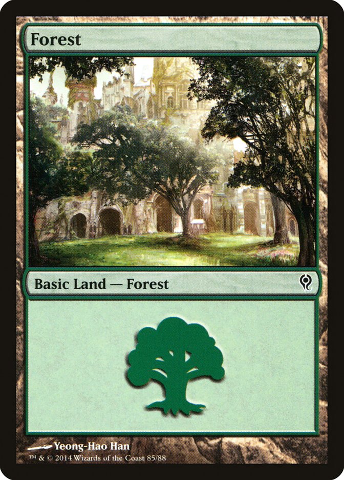 Forest (85) [Duel Decks: Jace vs. Vraska] | Good Games Morley