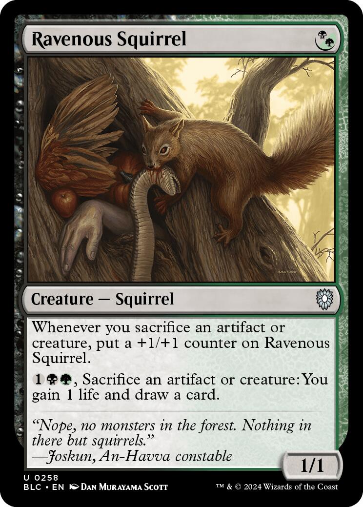 Ravenous Squirrel [Bloomburrow Commander] | Good Games Morley