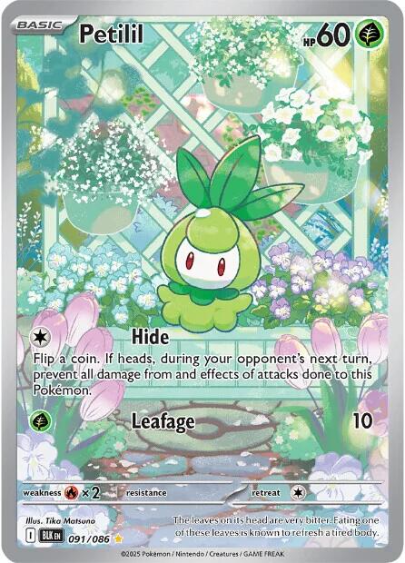 Petilil (091/086) [Scarlet & Violet: Black Bolt] | Good Games Morley