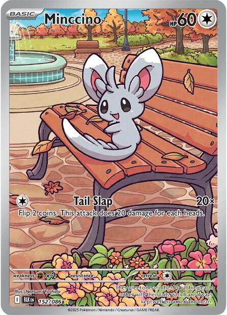 Minccino (152/086) [Scarlet & Violet: Black Bolt] | Good Games Morley
