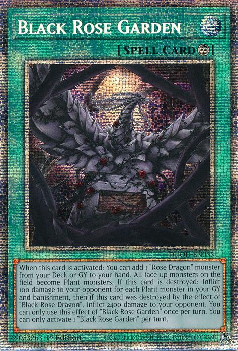 Black Rose Garden (Starlight Rare) [DOOD-EN055] Starlight Rare | Good Games Morley