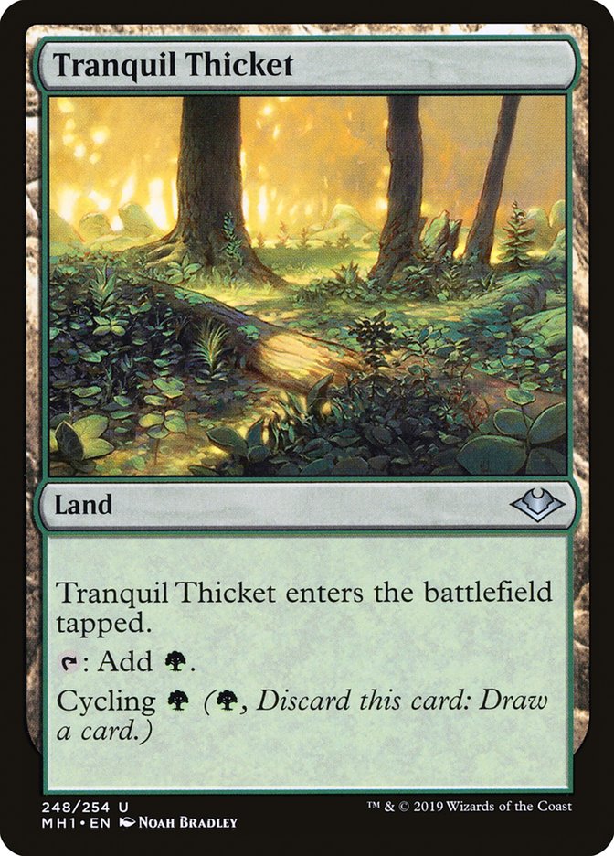 Tranquil Thicket [Modern Horizons] | Good Games Morley