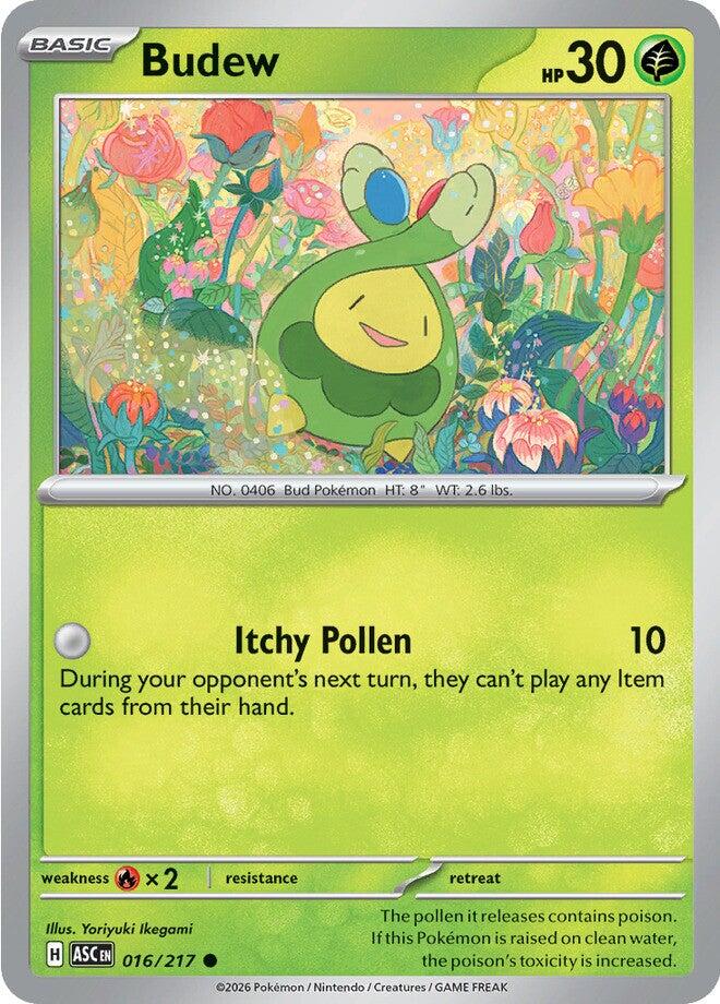 Budew (016/217) [Mega Evolution: Ascended Heroes] | Good Games Morley