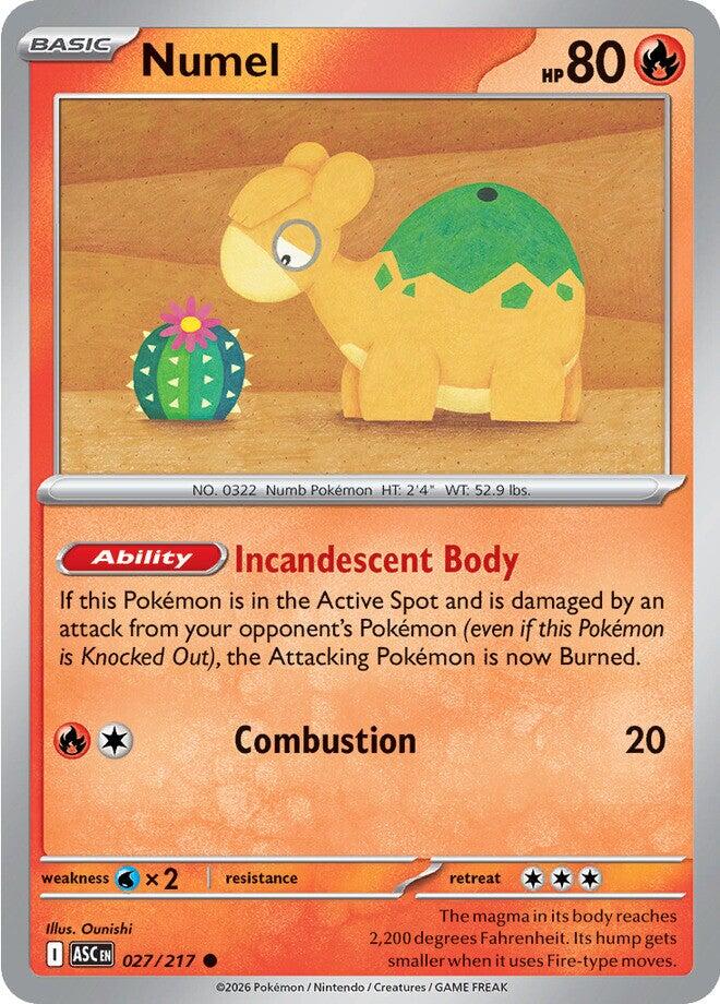 Numel (027/217) [Mega Evolution: Ascended Heroes] | Good Games Morley