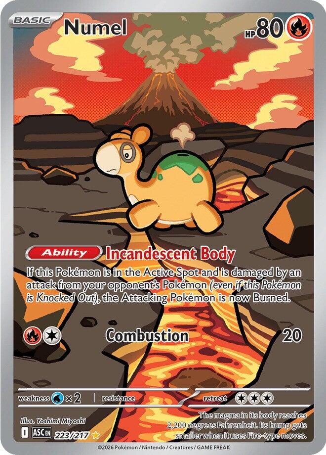 Numel (223/217) [Mega Evolution: Ascended Heroes] | Good Games Morley