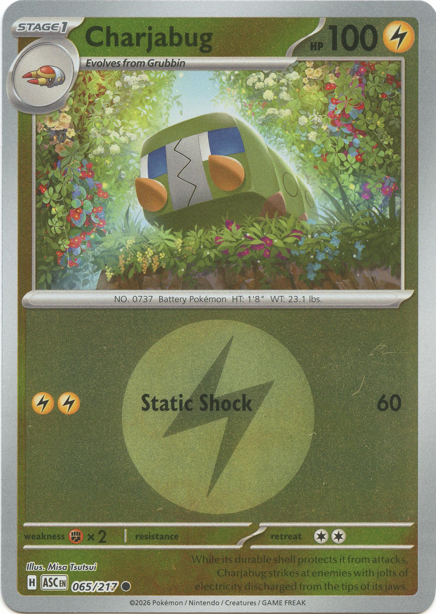 Charjabug (065/217) (Energy Symbol Pattern) [Mega Evolution: Ascended Heroes] | Good Games Morley