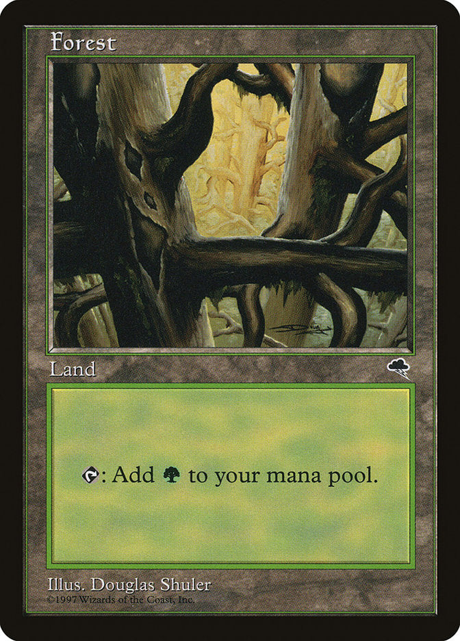 Forest (Black Signature) [Tempest] | Good Games Morley
