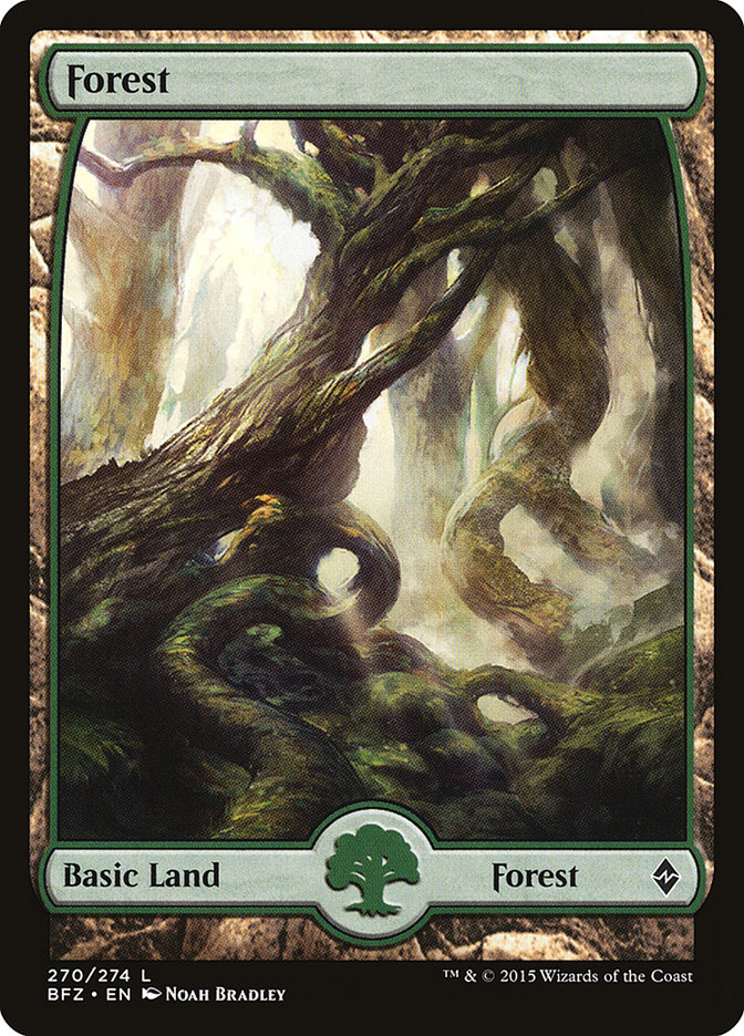 Forest (270) (Full Art) [Battle for Zendikar] | Good Games Morley