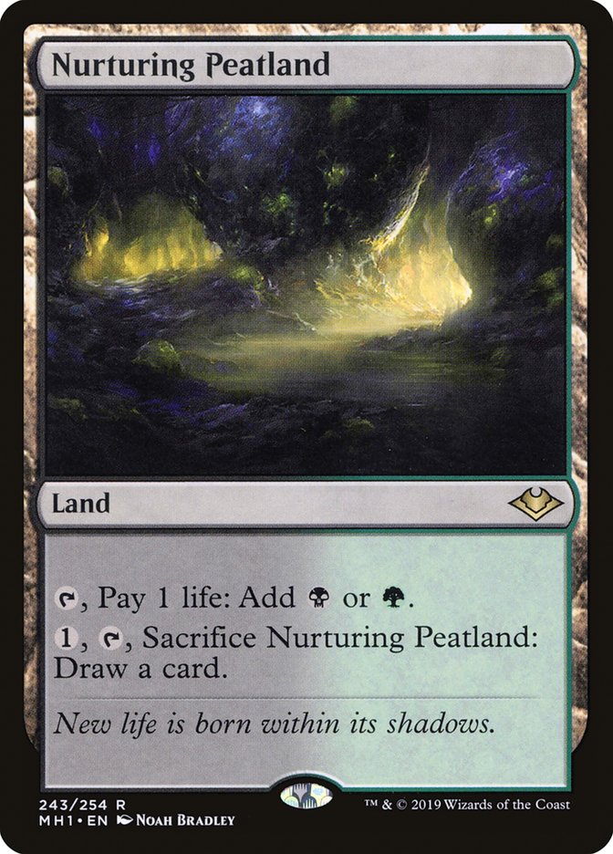 Nurturing Peatland 243 (Modern Horizons)  - Foil | Good Games Morley