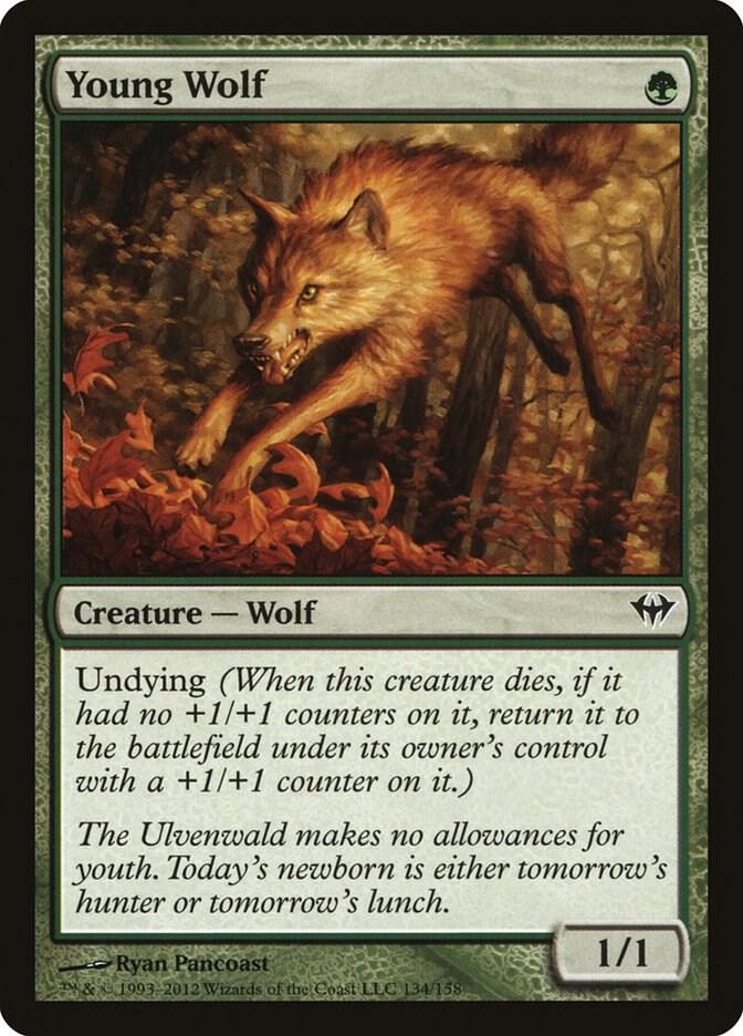 Young Wolf 134/158 (Dark Ascension)  | Good Games Morley
