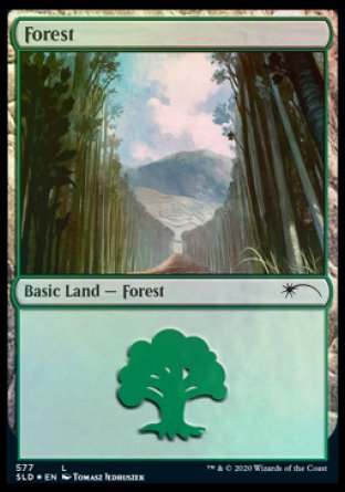 Forest (Walls) (577) [Secret Lair Drop Promos] | Good Games Morley