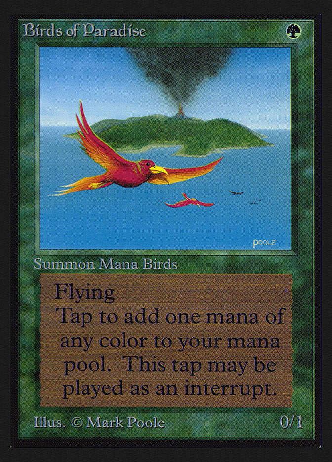 Birds of Paradise [International Collectors' Edition] | Good Games Morley