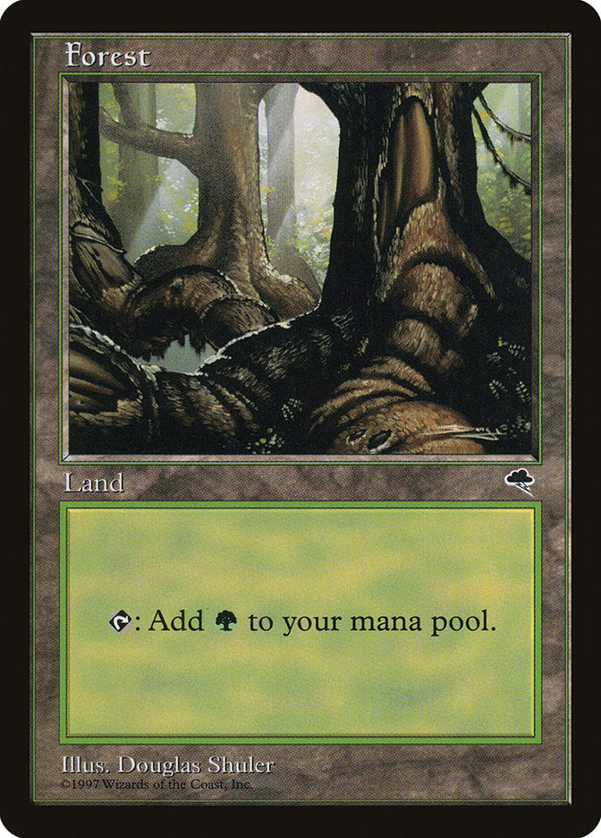 Forest (Large Roots) [Tempest] | Good Games Morley
