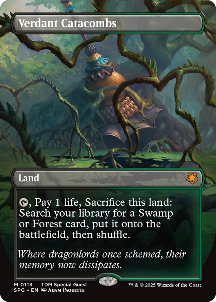Verdant Catacombs (Borderless) [Tarkir: Dragonstorm Special Guests] | Good Games Morley