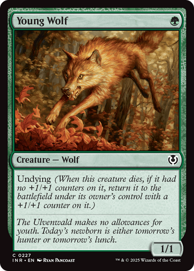 Young Wolf [Innistrad Remastered] | Good Games Morley