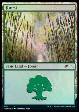Forest (Elves) (579) [Secret Lair Drop Promos] | Good Games Morley