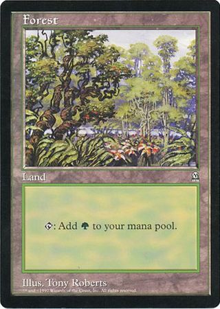 Forest (Oversized) [Oversize Cards] | Good Games Morley