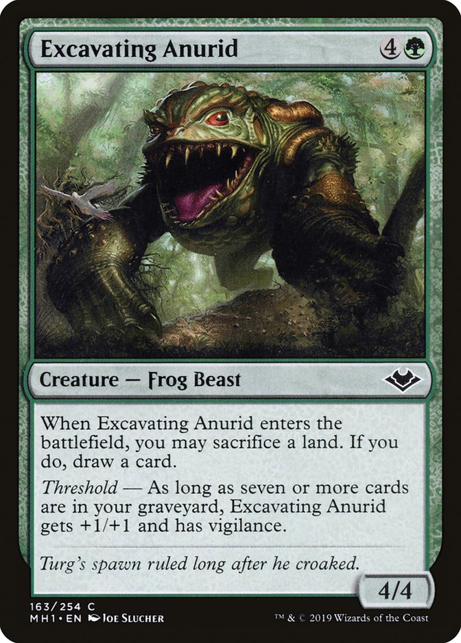 Excavating Anurid [Modern Horizons] | Good Games Morley