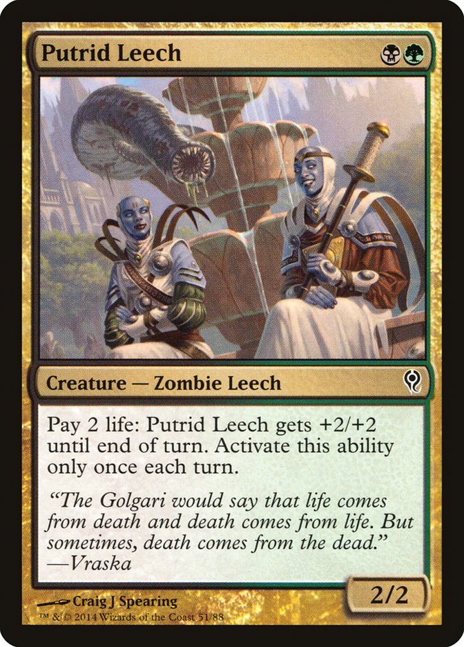 Putrid Leech [Duel Decks: Jace vs. Vraska] | Good Games Morley