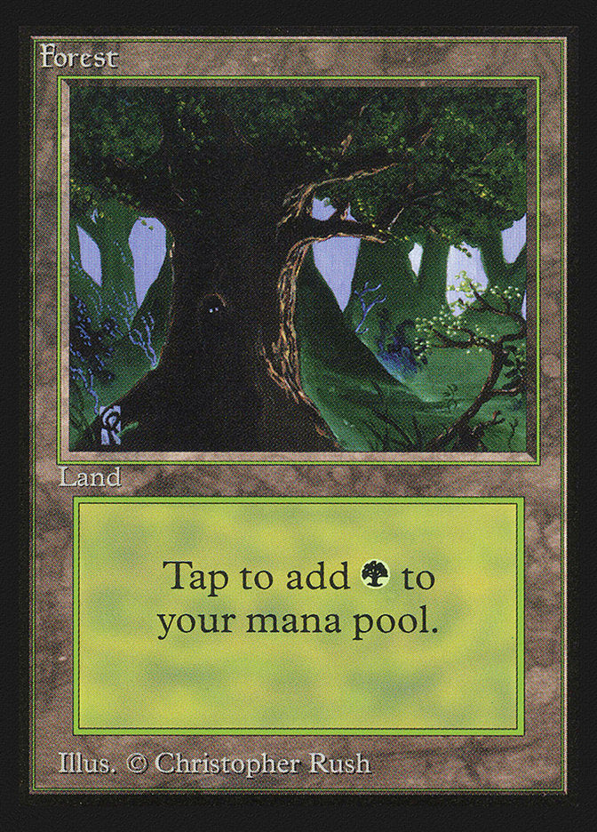 Forest (Eyes in Tree) [Collectors' Edition] | Good Games Morley