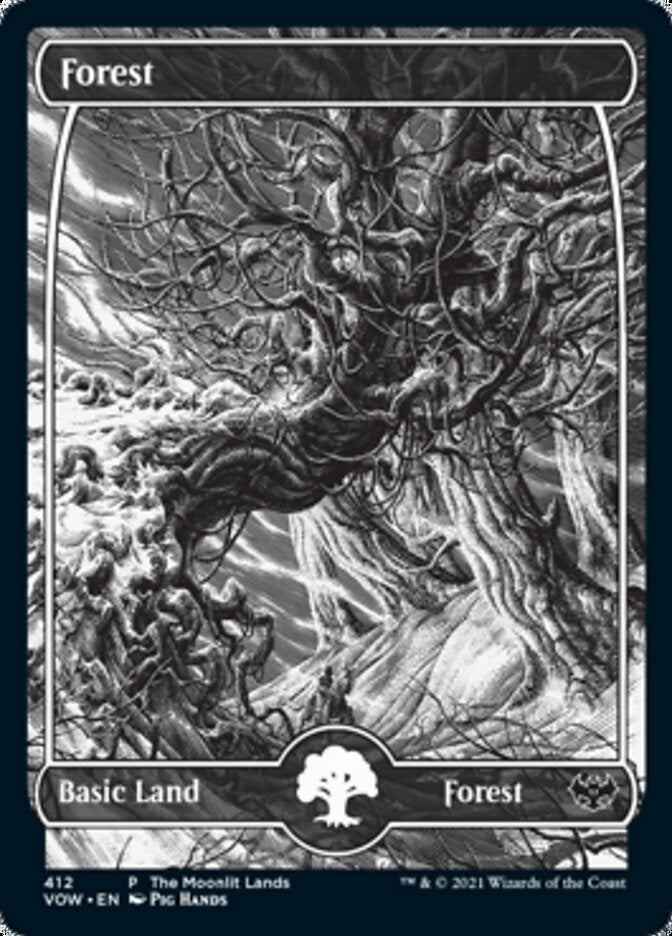 Forest (The Moonlit Lands) (Foil Etched) [Innistrad: Crimson Vow Promos] | Good Games Morley
